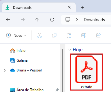 CNIS em PDF